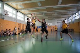 basketballbundesmeisterschaft (3)
